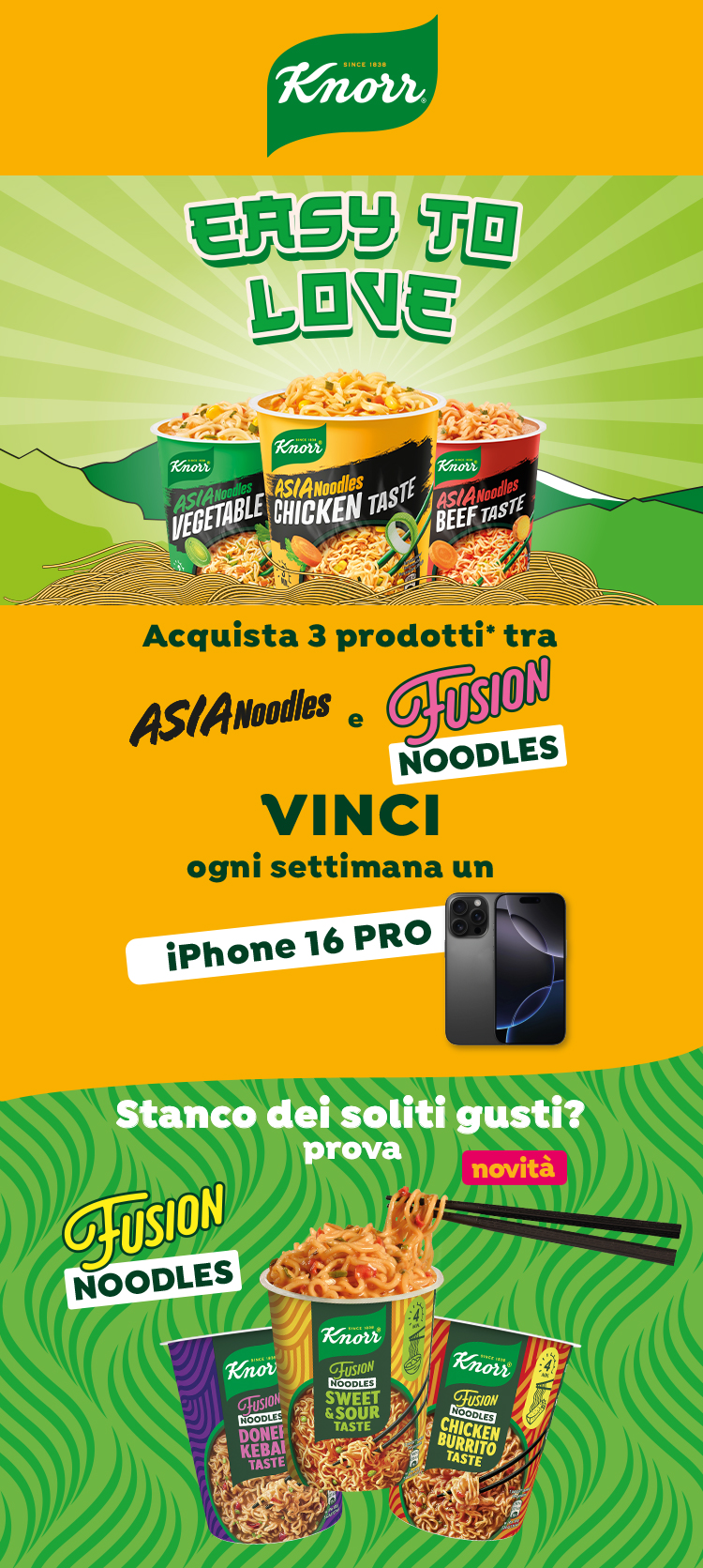 Concorso Knorr Asia & Fusion Noodles